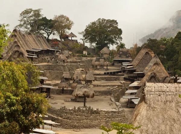 Pueblo tradicional de Bena en la isla de Flores Indonesia — Foto de Stock