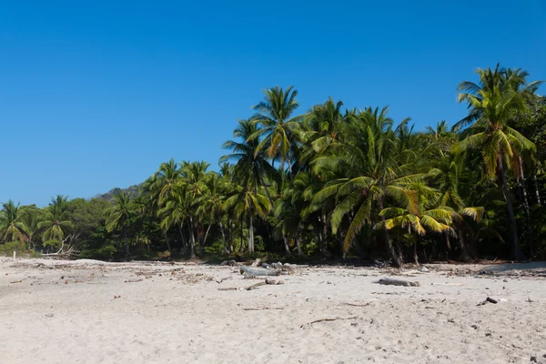 Wild természetes Beach Costa Rica, Santa Teresa Stock Kép