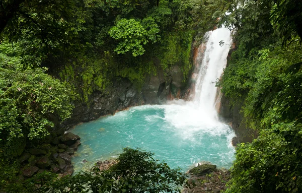 熱帯林の滝 — ストック写真