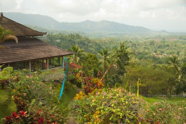Bali dili evde tipik güzel manzara