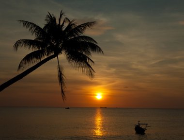 Sandy beach günbatımı zamanı, Phu Quoc Vietnam, palmiye ağaçları ile