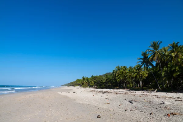 Praia Natural Selvagem Costa Rica, Santa Teresa — Fotografia de Stock