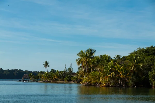 Tropical island panorama with leaning coconut tree, and houses hidden by lush vegetation, Bocas del Toro — Stock Photo, Image