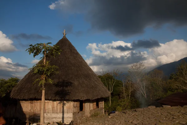 Ruteng Puu pueblo tradicional, casas típicas del distrito de Manggarai en Flores . — Foto de Stock