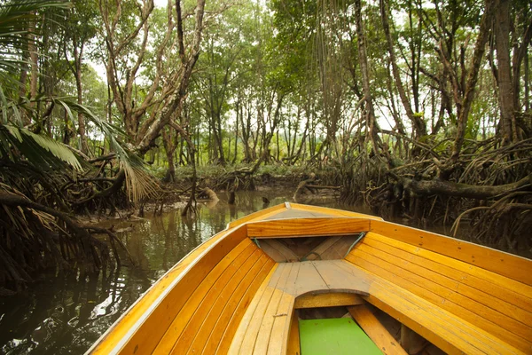Mangrov ve Borneo yağmur ormanları ile tekne turu