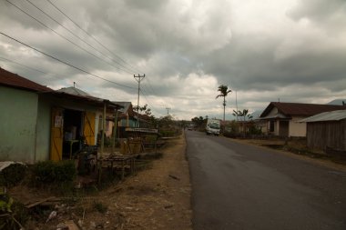 Normal basit hayat flores Endonezya