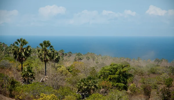 Isla flores indonesia — Foto de Stock