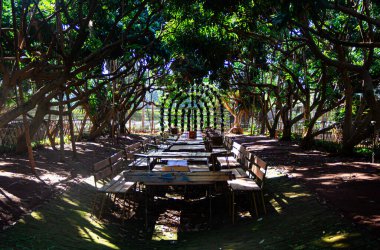 Uzun, kırsal ahşap bir masa, yemyeşil bir bahçeye kurulur.