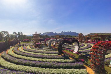 Çiçeklerle dolu renkli bir çiçek bahçesi.