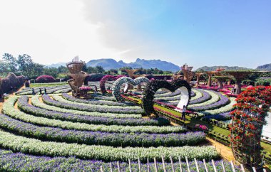 Çiçeklerle dolu renkli bir çiçek bahçesi.