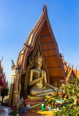 Kanchanaburi 'deki Kaplan Mağarası Tapınağı' nda Buda heykeli