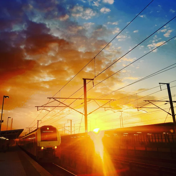 Train au lever du soleil — Photo