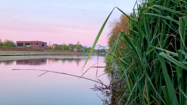 Zwaaiend gras en schemering of zonsopgang boven een rivier of kanaal — Stockvideo