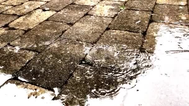 Movimento lento perto da chuva de outono com gotas de água caindo em grande poça no pavimento, inundando a rua. — Vídeo de Stock