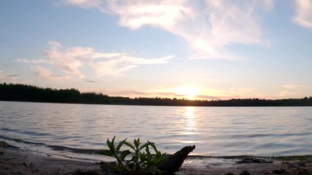 Прекрасний захід сонця і хмарне небо над лісом — стокове відео