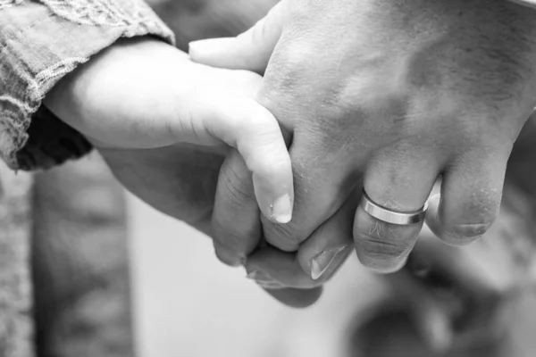 Черно-белая пара Лори, держащаяся за руки — стоковое фото
