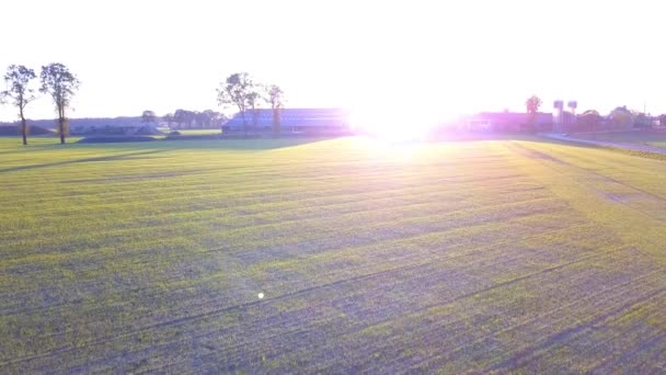 Clip aerea cinematografica: drone che sorvola un campo agricolo durante il tramonto — Video Stock