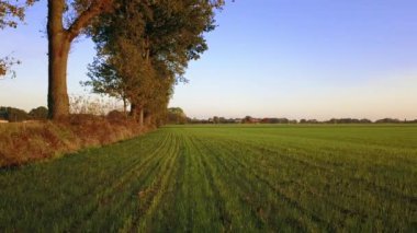 Hava sineması klibi: İnsansız hava aracı gün batımında bir çiftlik arazisinde uçuyor