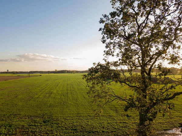 Kolorowe wschody słońca lub zachody słońca niebo nad farmą strzał z wysoka — Zdjęcie stockowe