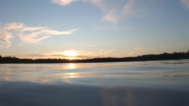 Beautiful sunset and cloudy sky over a forest — Stock Video