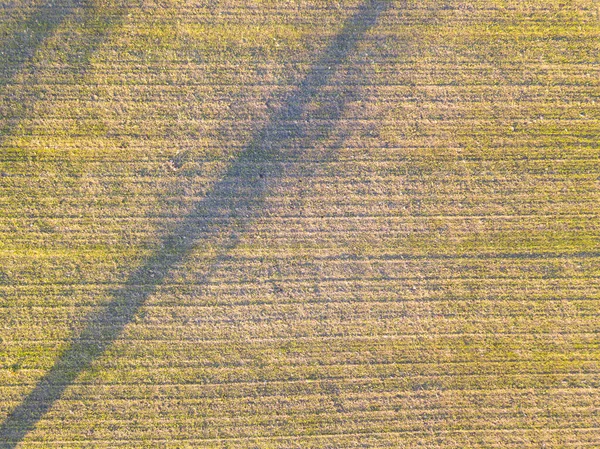 Campo geométrico Arial view — Fotografia de Stock