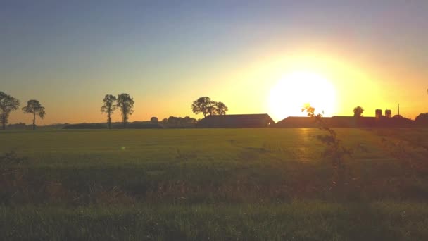 Clipe cinematográfico aéreo: Drone voando sobre um campo de fazenda durante o pôr do sol — Vídeo de Stock