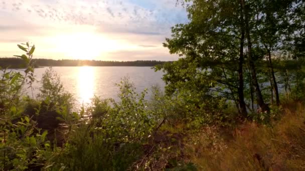 美丽而壮观的落日笼罩着自然的森林湖景 — 图库视频影像