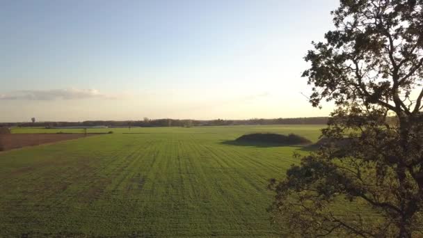 Letecký filmový klip: Dron letící nad farmářským polem během západu slunce — Stock video