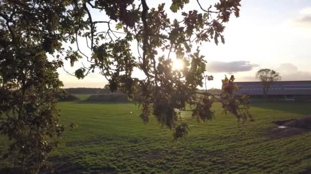 Повітряний кінематографічний кліп: дрон літає над сільськогосподарським полем під час заходу сонця — стокове відео