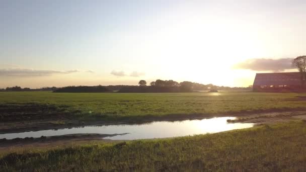 Letecký filmový klip: Dron letící nad farmářským polem během západu slunce — Stock video