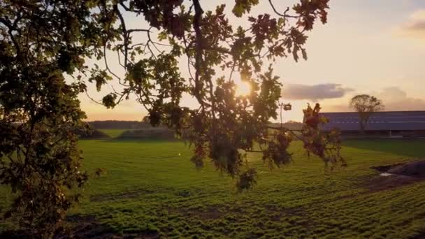 Clipe cinematográfico aéreo, drone voando sobre um campo de fazenda durante o pôr do sol — Vídeo de Stock