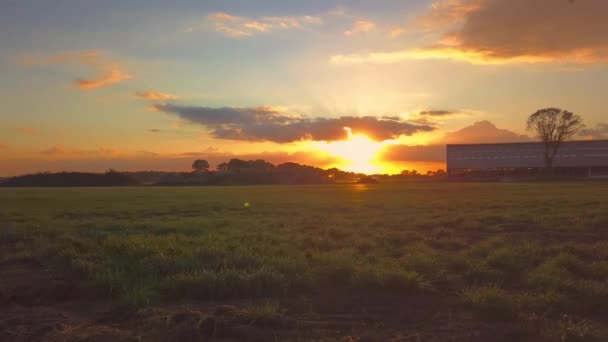 Letecký filmový klip, Dron letící nad farmářským polem během západu slunce — Stock video