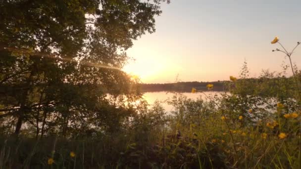 Kolorowy i dramatyczny zachód słońca nad naturalnym leśnym krajobrazem jeziora — Wideo stockowe