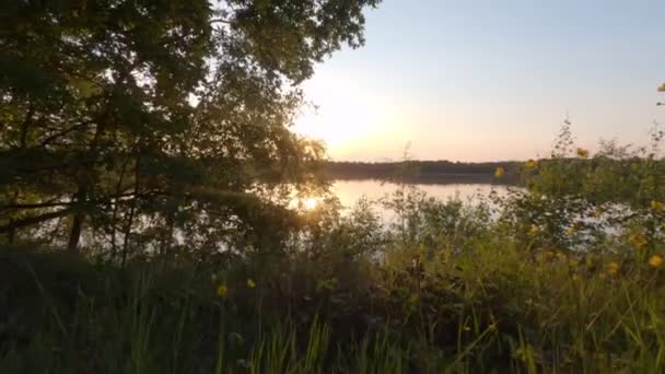 Colorful and dramatic sunset over a natural forest lake landscape — Stock Video