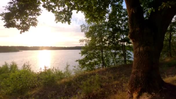 Barevný a dramatický západ slunce nad přírodní lesní jezero krajiny — Stock video