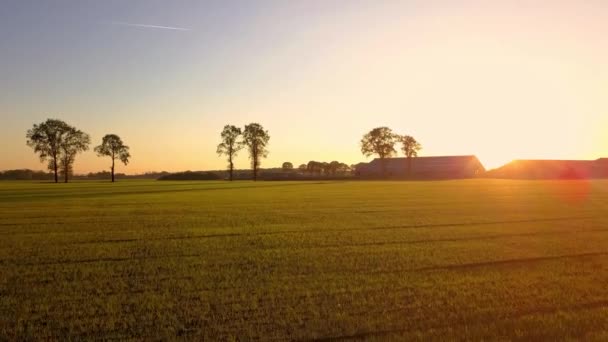 Aerial Cinematic clip, Dron przelatujący nad polem podczas zachodu słońca — Wideo stockowe