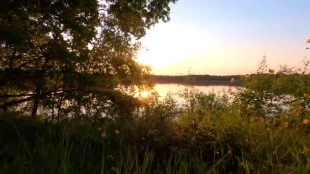 Colorful and dramatic sunset over a natural forest lake landscape — Stock Video