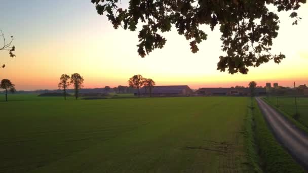 Letecký filmový klip, Dron letící nad farmářským polem během západu slunce — Stock video