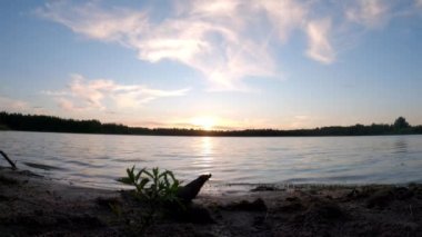 Güzel gün batımı ve bulutlu gökyüzü bir orman üzerinde