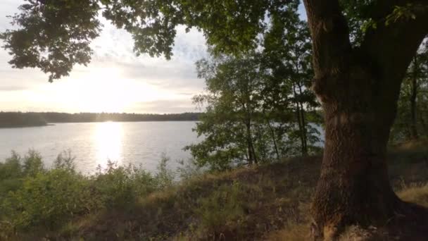 Farbenfroher und dramatischer Sonnenuntergang über einer natürlichen Waldsee-Landschaft — Stockvideo