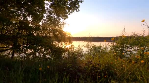 Colorful and dramatic sunset over a natural forest lake landscape — Stock Video