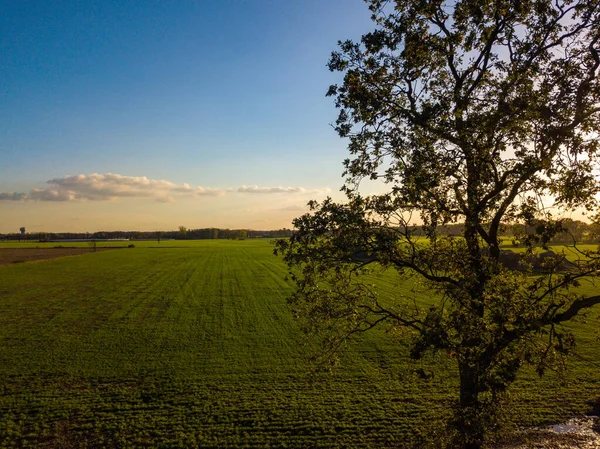 Барвисте східне або західне небо над сільськогосподарським полем, зняте з висоти — стокове фото