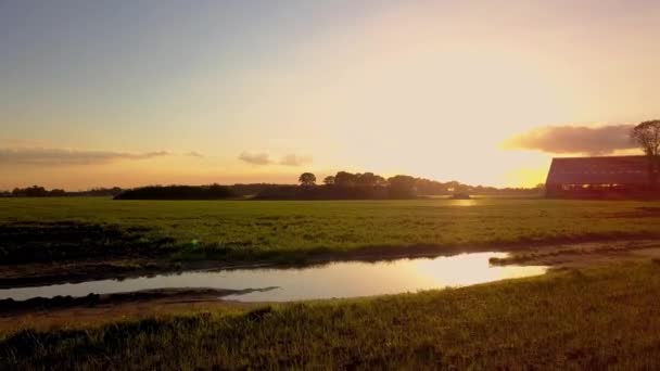 Aerial Cinematic clip, Dron przelatujący nad polem podczas zachodu słońca — Wideo stockowe