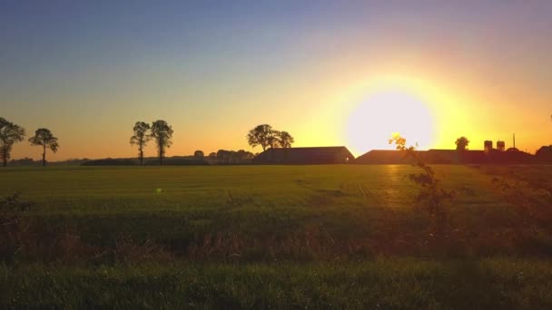 Aerial Cinematic klipp, drönare flyger över en gård fält under solnedgången — Stockvideo