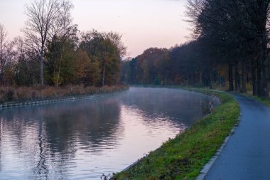 Nehir kanalı çimen kıyıları, yabani çiçekler ve ağaçlarla sisli bir sonbahar sabahı gündoğumunda manzaralı bir arazide bükülüyor.