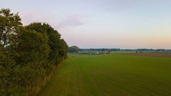 Colorido amanecer o atardecer sobre un campo de cultivo disparado desde lo alto — Foto de Stock