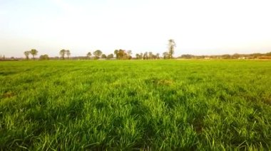 Hava sineması klibi, hava aracı gün batımında bir çiftlik arazisinde uçuyor.