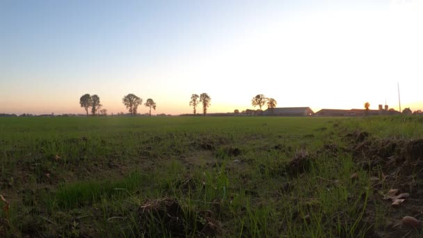 Letecký filmový klip, Dron letící nad farmářským polem během západu slunce — Stock video