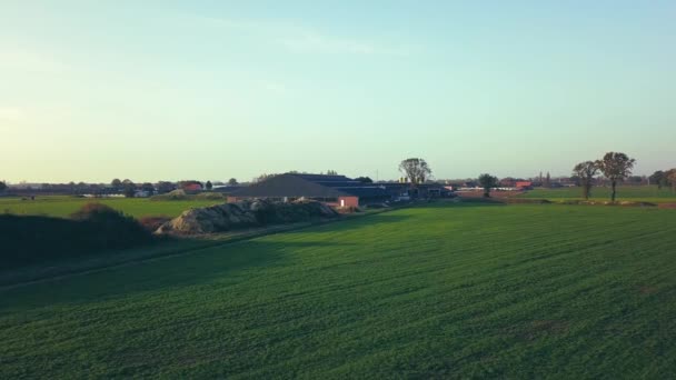 Letecký filmový klip, Dron letící nad farmářským polem během západu slunce — Stock video