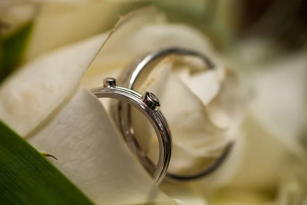 Bride and grooms wedding rings closeup on white rose DOF focus on rings — Stock Photo, Image